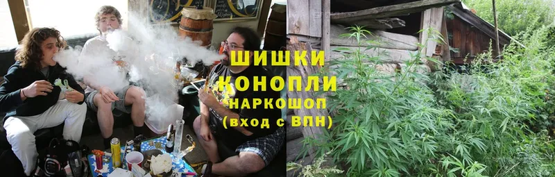 Бошки марихуана SATIVA & INDICA  Новоалтайск 